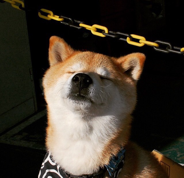 从土耳其熔炉到圣西罗舞台，萨拉赫的节奏掌控艺术如何诠释现代足球的关键先生