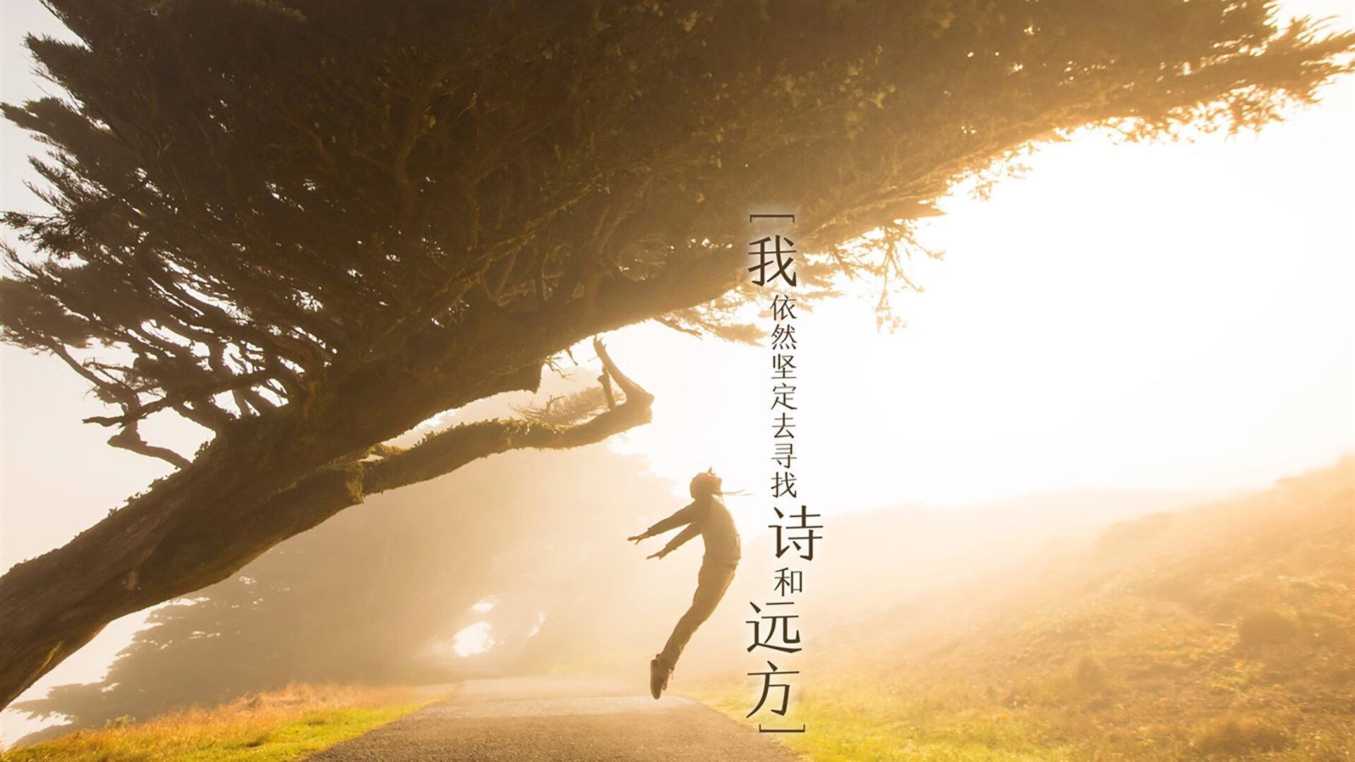 武切维奇奏响节奏交响曲,火箭遭广东队跨维度战术破解