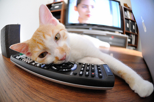 暗夜后的晨光，布克关键一投背后，是整个尼克斯战术体系的自我救赎