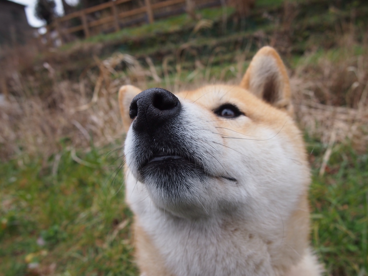 1.次元破壁!广厦鏖战绿军,文班亚马一剑封喉定乾坤