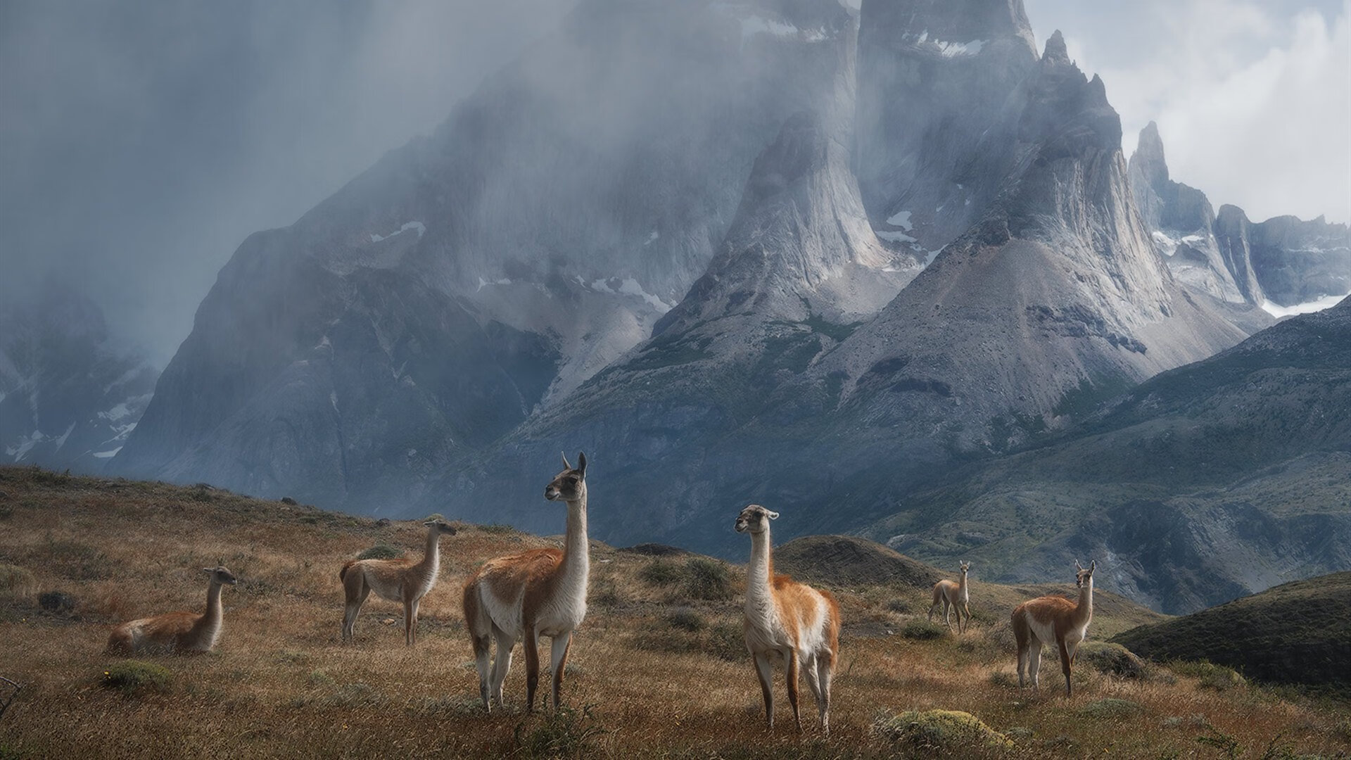 尼斯斩落埃及,奥亚尔萨瓦尔用教科书表演,让法老文明跪倒在现代足球脚下
