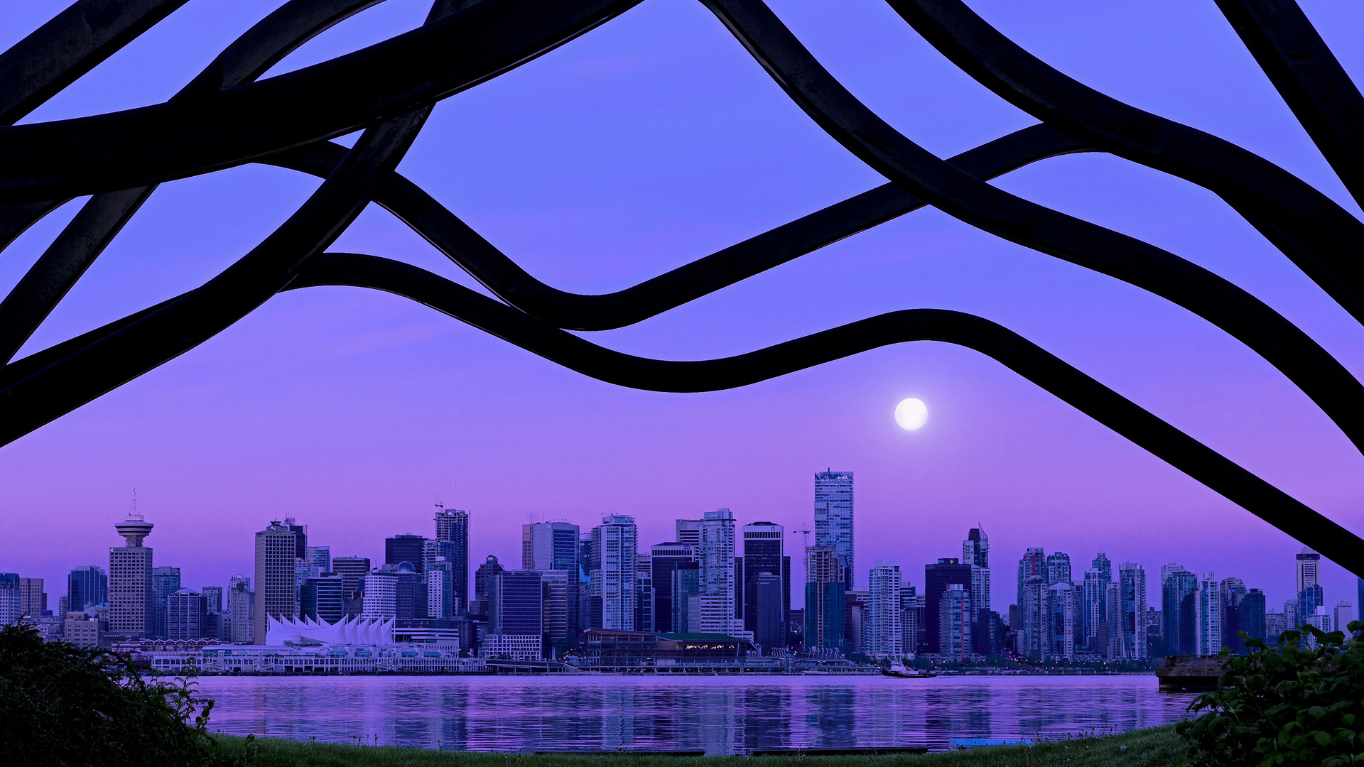 芝加哥的星辰,休斯顿的烽火