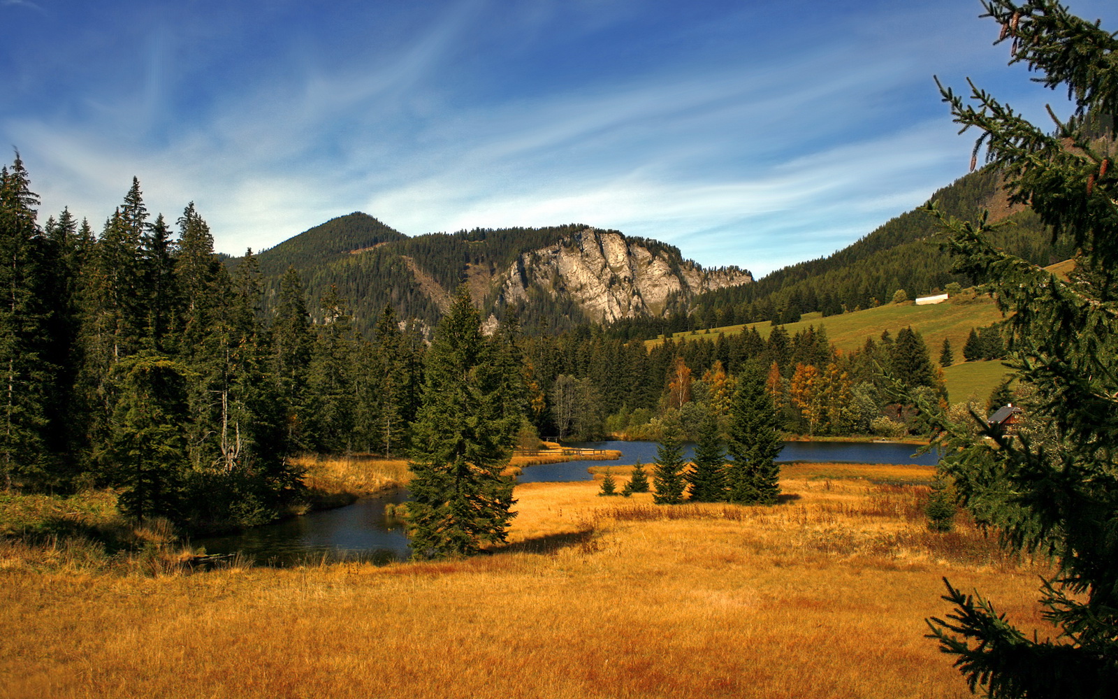 德甲争冠战之夜,当秒针指向22:47,帕尔默与那个被照亮的唯一