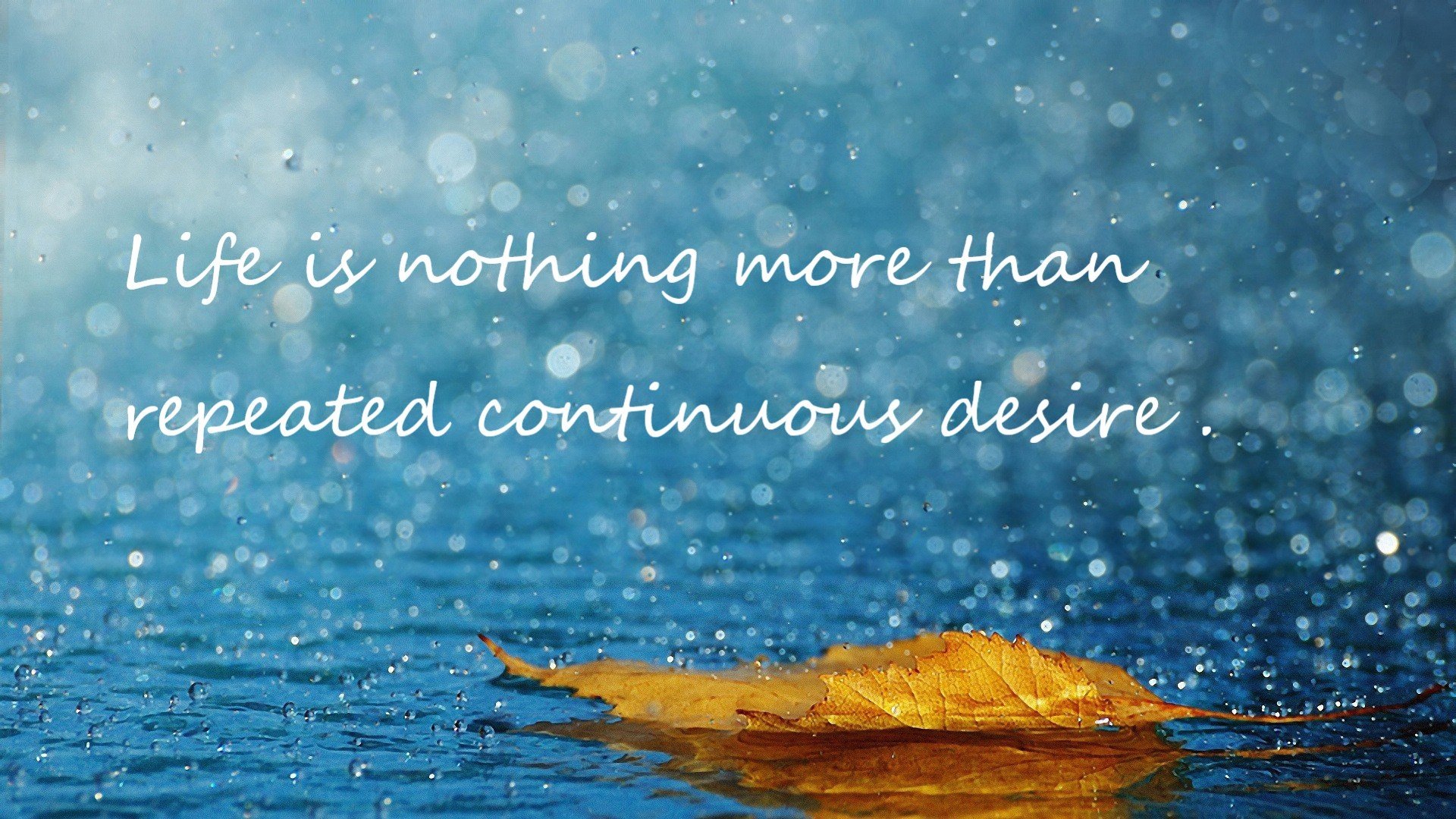 当辽宁风暴席卷孟菲斯，小贾伦的关键刀锋为何斩不断亚洲洪流？