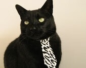 篮球之夜的东方狂飙与西方接管