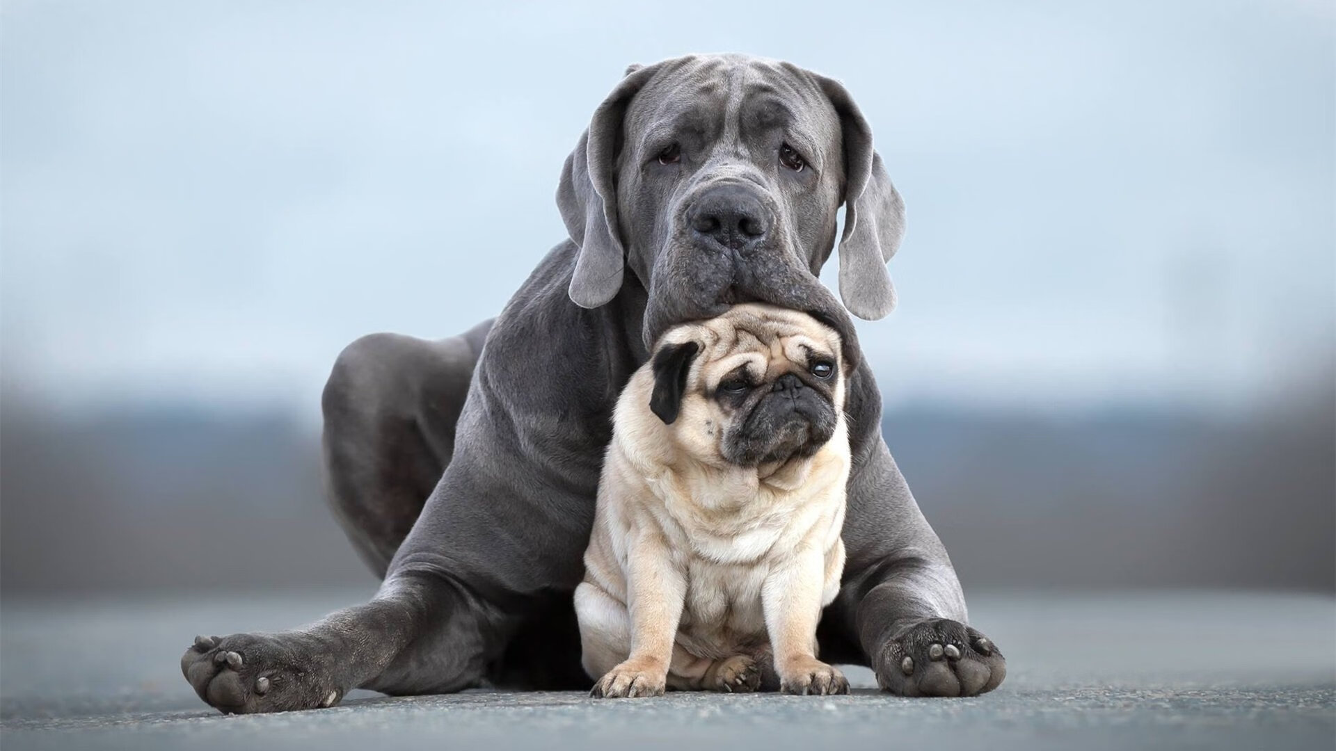 当荷兰不是荷兰，奥亚尔萨瓦尔一击决定曼城命运