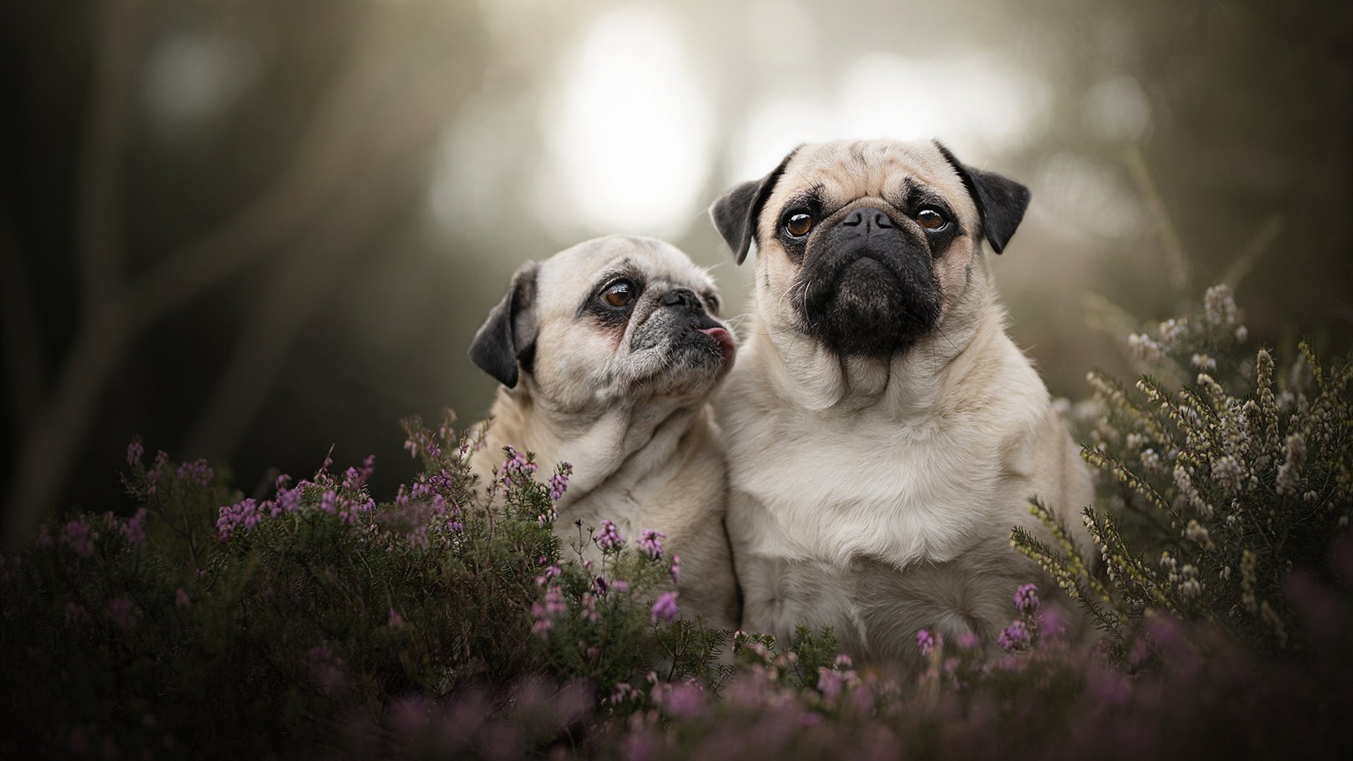 卡位战的微缩江湖，加时鏖战与排名浮动的蝴蝶效应
