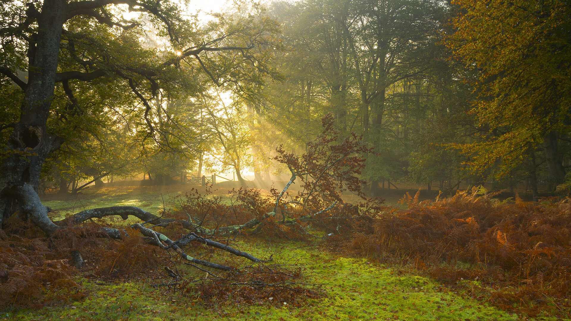 双星对峙，努涅斯狂暴得分链 vs 德意志钢铁末节