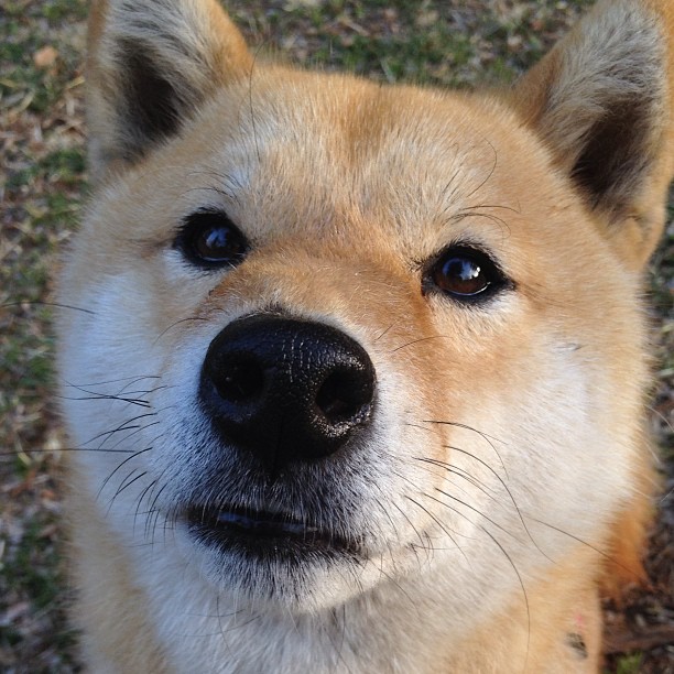 詹姆斯死亡封盖锁定胜局!勇士客场险胜国王,关键先生非他莫属