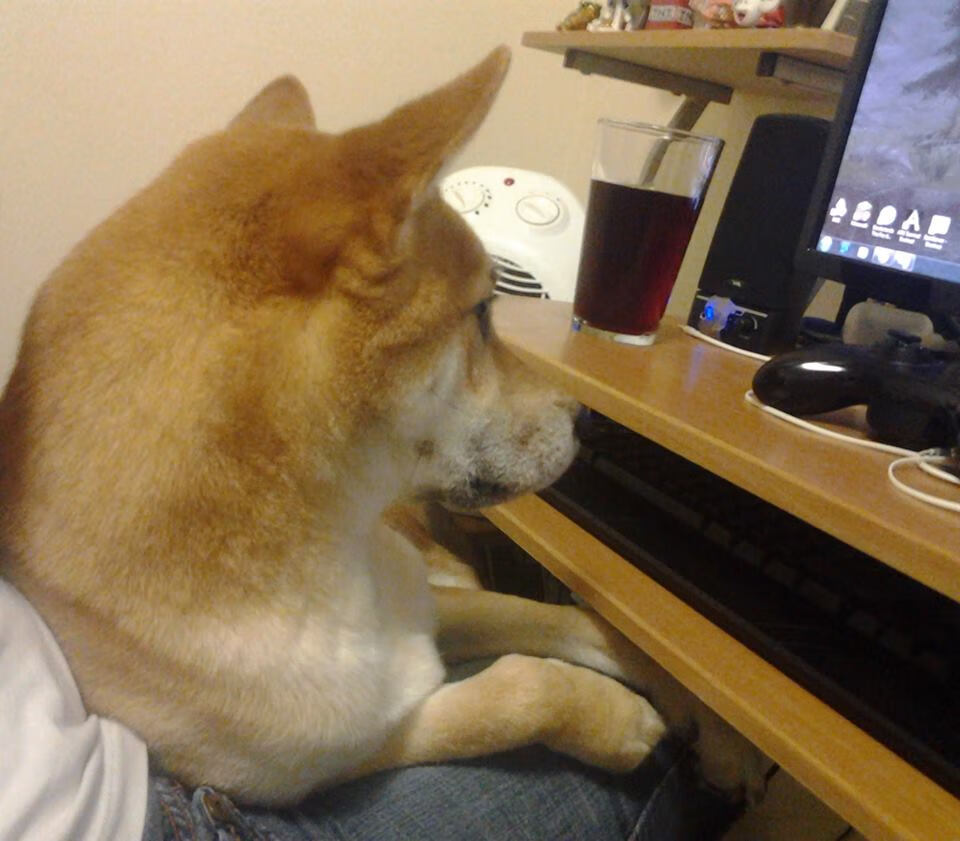 新援范戴克关键先生显威，阿森纳欧冠客场踏平法兰西