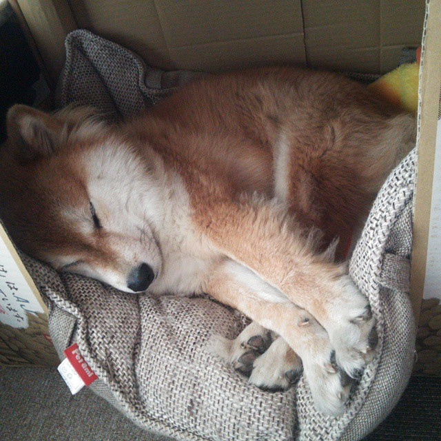 当NBA季后赛的绞杀战，遇上绿茵场的波兰铁幕