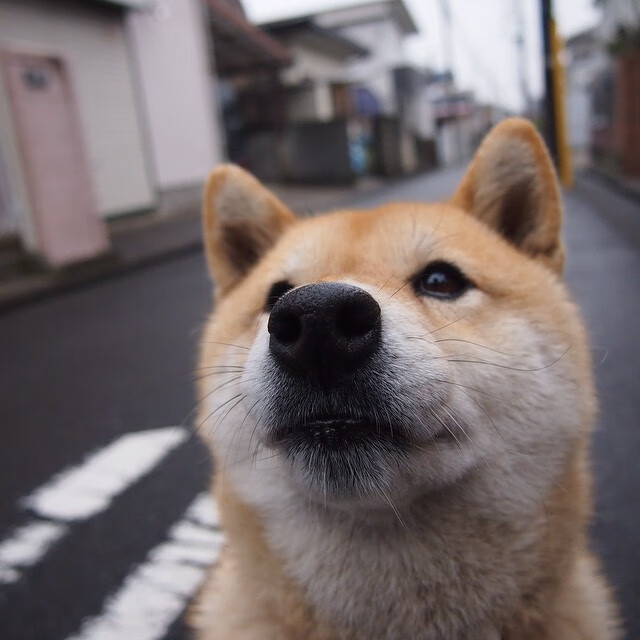 决胜时刻的双重奏，雷恩力克罗地亚，孙兴慜世界排名战独揽风云