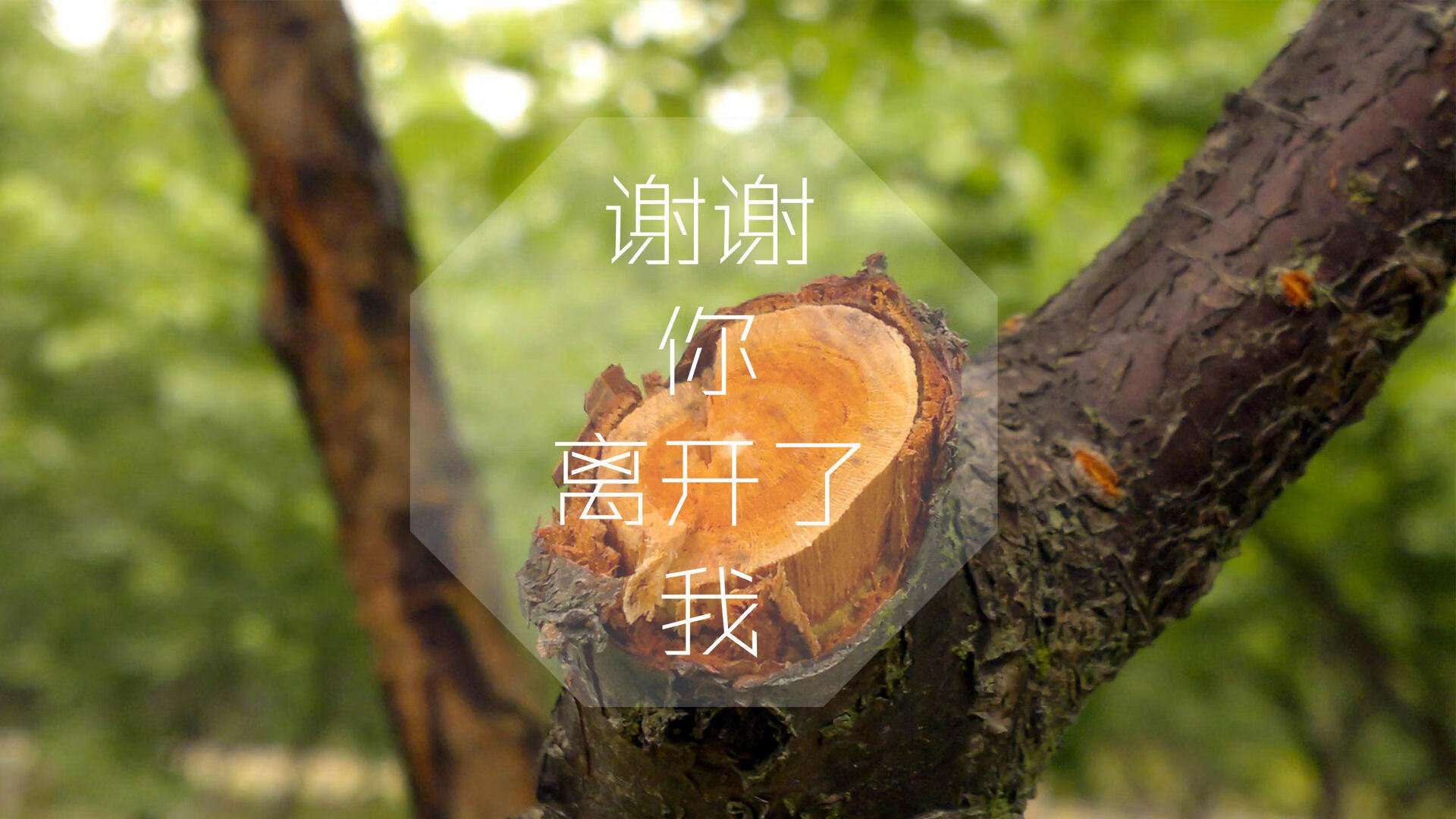 命运的唯一解,当桑巴之子的身份背叛,与门将的钢铁之墙
