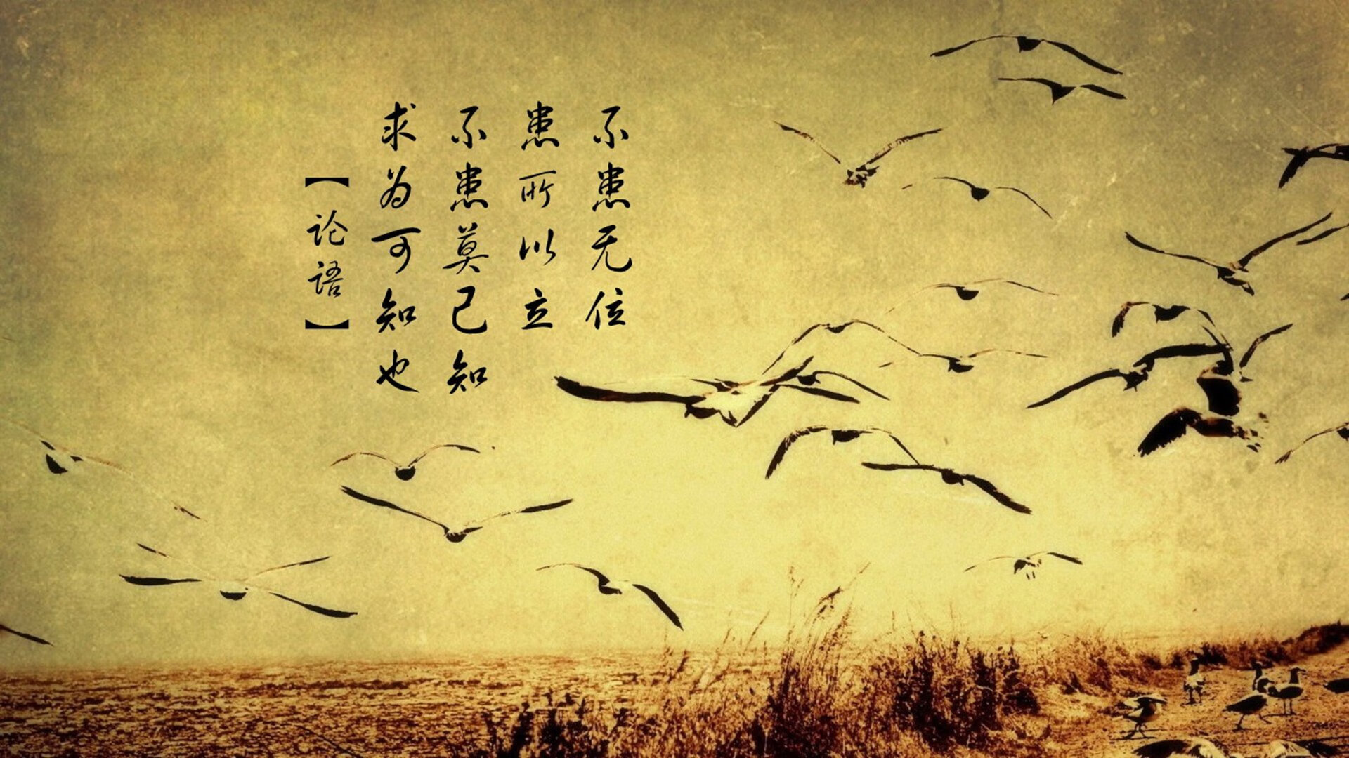 沙漠风暴席卷北欧！2026世界杯黑马之战焦点战，沙特5-0挪威，归化天王福登独造四球
