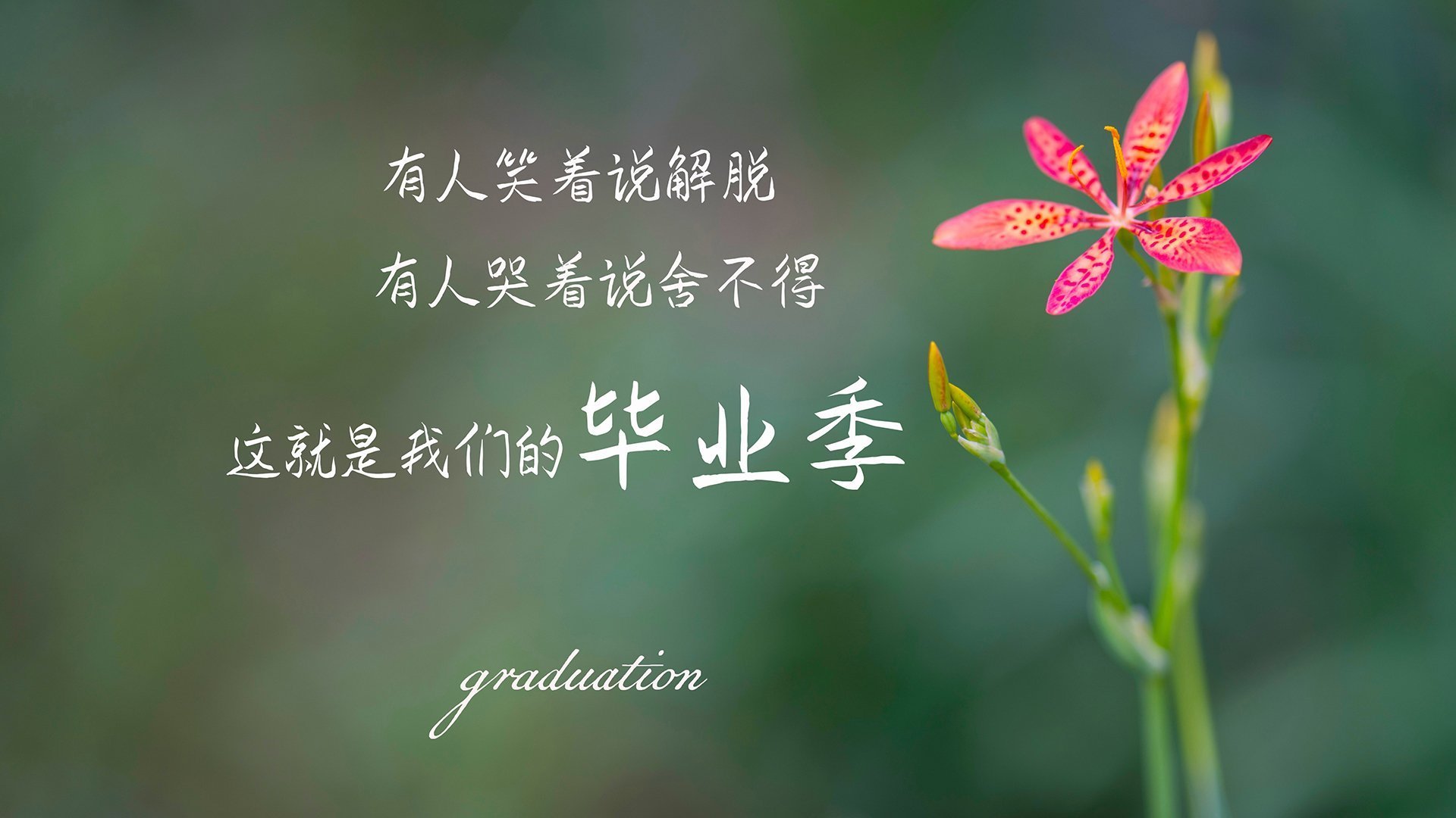 很有张力！我来为你构建一个兼具深度与激情的唯一性故事