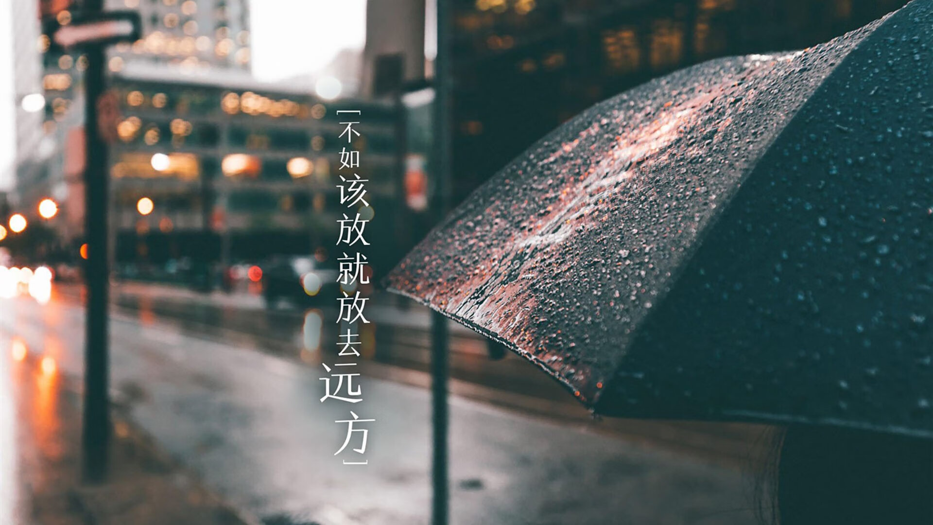 G组生死战，穆西亚拉的唯一预言，德国战车碾压厄瓜多尔的90分钟宿命对决