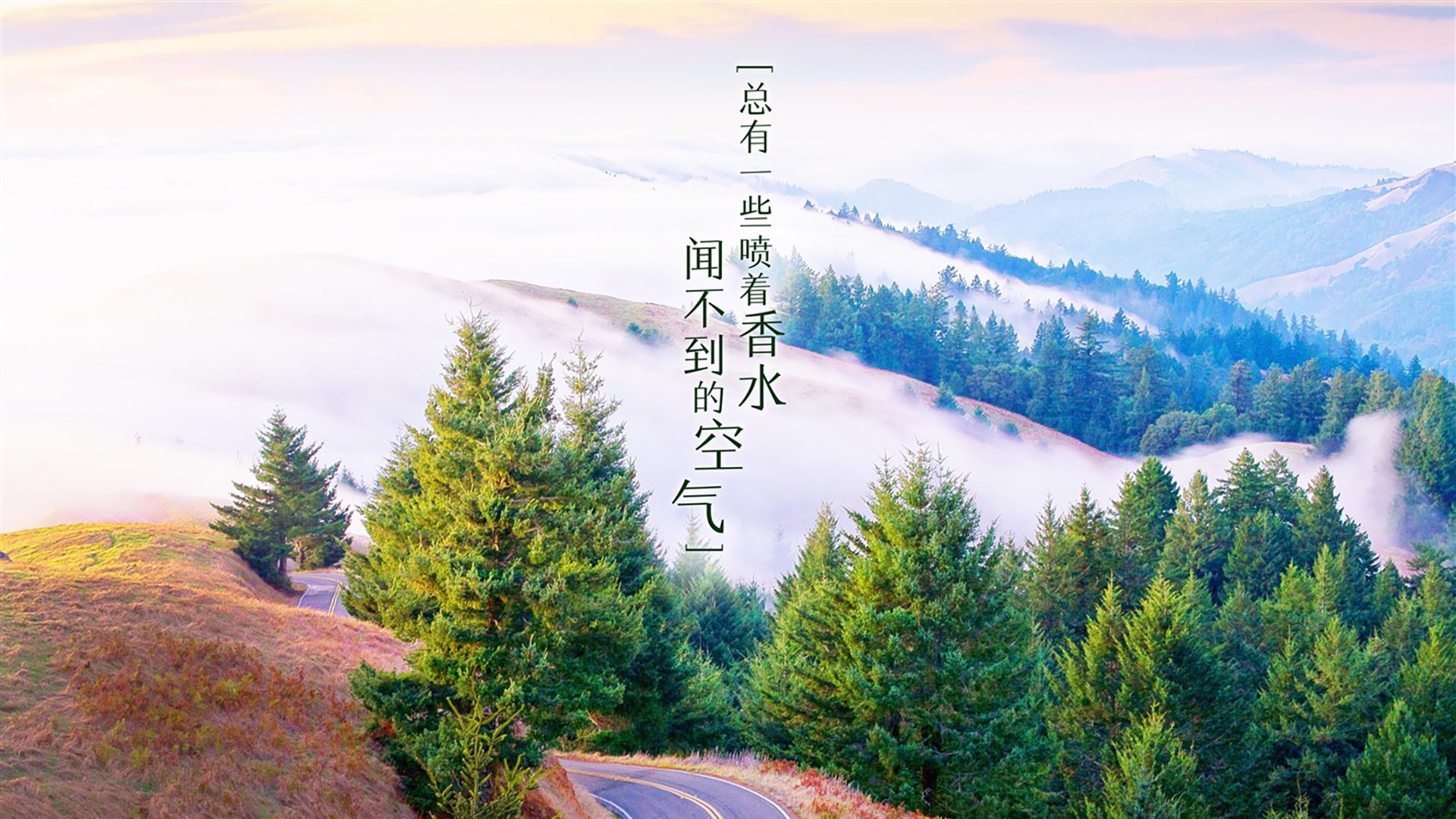 唯一的神迹，坎塞洛独舞之下，乌拉圭如何用一场碾压定义2026世界杯A组唯一性